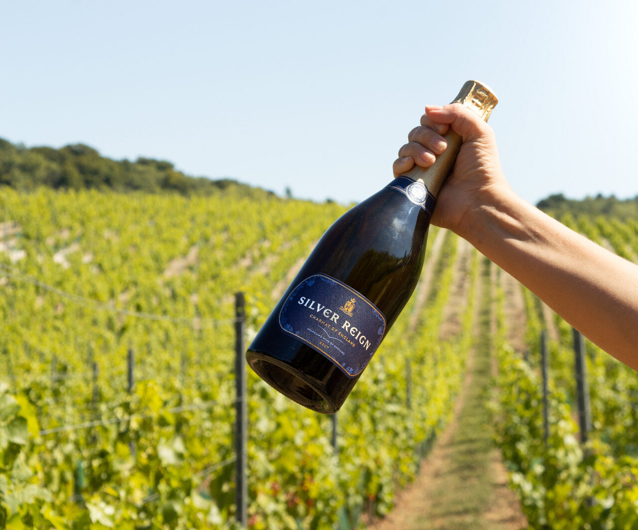 English Sparkling of the Month: Silver Reign by Silverhand
